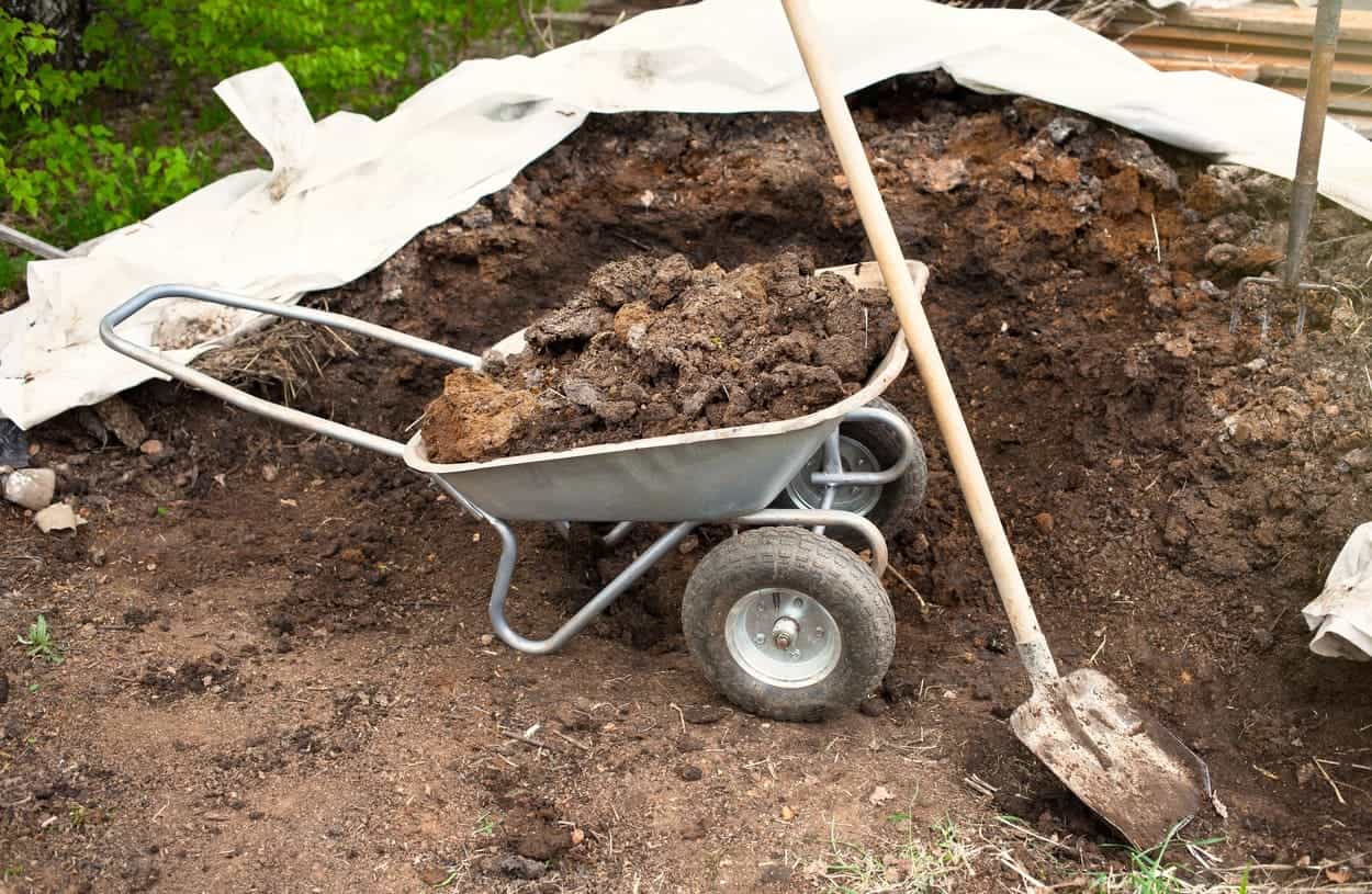 ingrasamant pentru plante